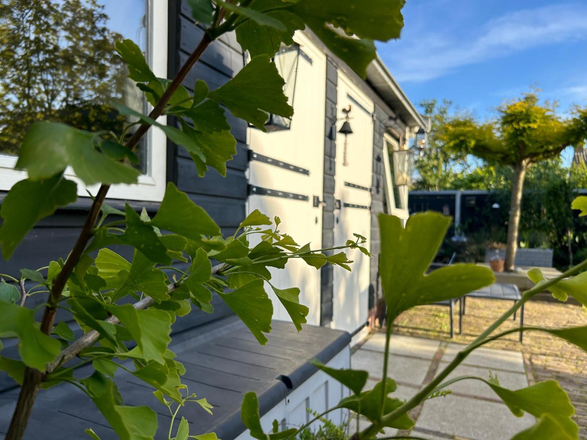't Hanennest Bed & Breakfast Nieuwerkerk (Zeeland)